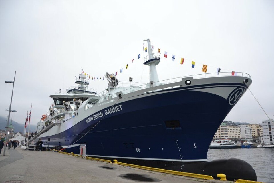 «Norwegian Gannet» ved kai i Bergen