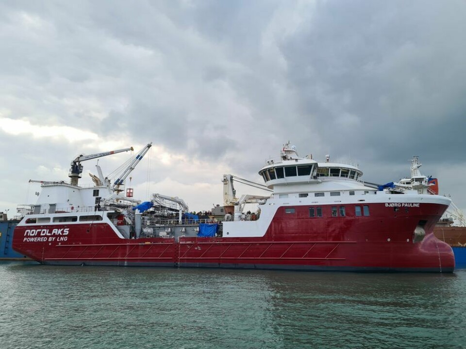 Verdens første LNG-Hybride brønnbåt, «Bjørg Pauline», er overlevert fra Tersan Shipyard til Nordlaks. Foto: Tersan Shipyard