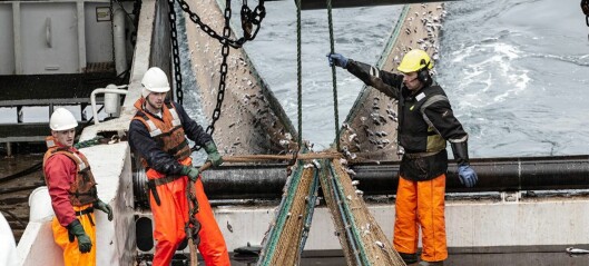 Nordic Wildfish vant Miljøprisen 2022