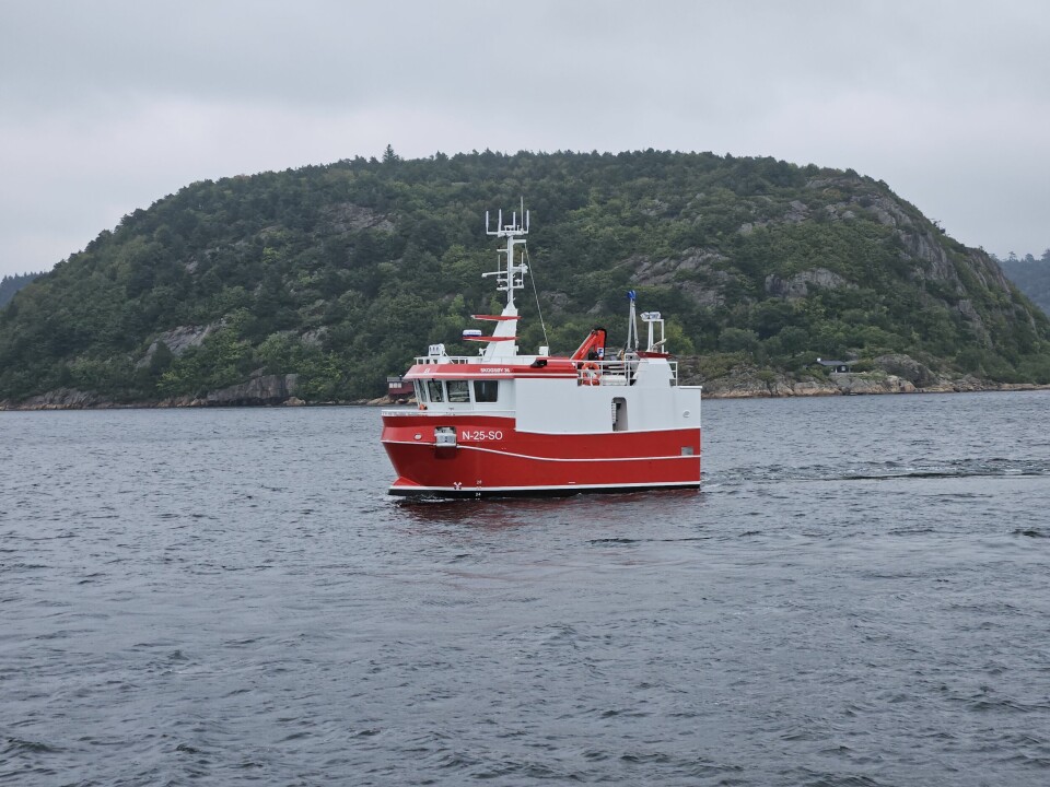 UTVIDET LASTEKAPASITET: I samarbeid med reder Ove Alvestad utvidet GOT Marine lastekapasiteten til «Ea» betraktelig. Nå kan hun laste 18 tonn bare i rommet.