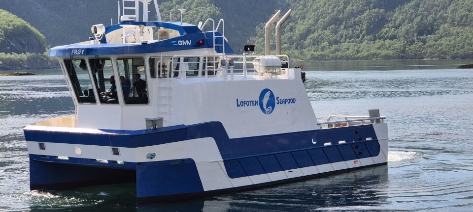 MS «Frøy Leader»